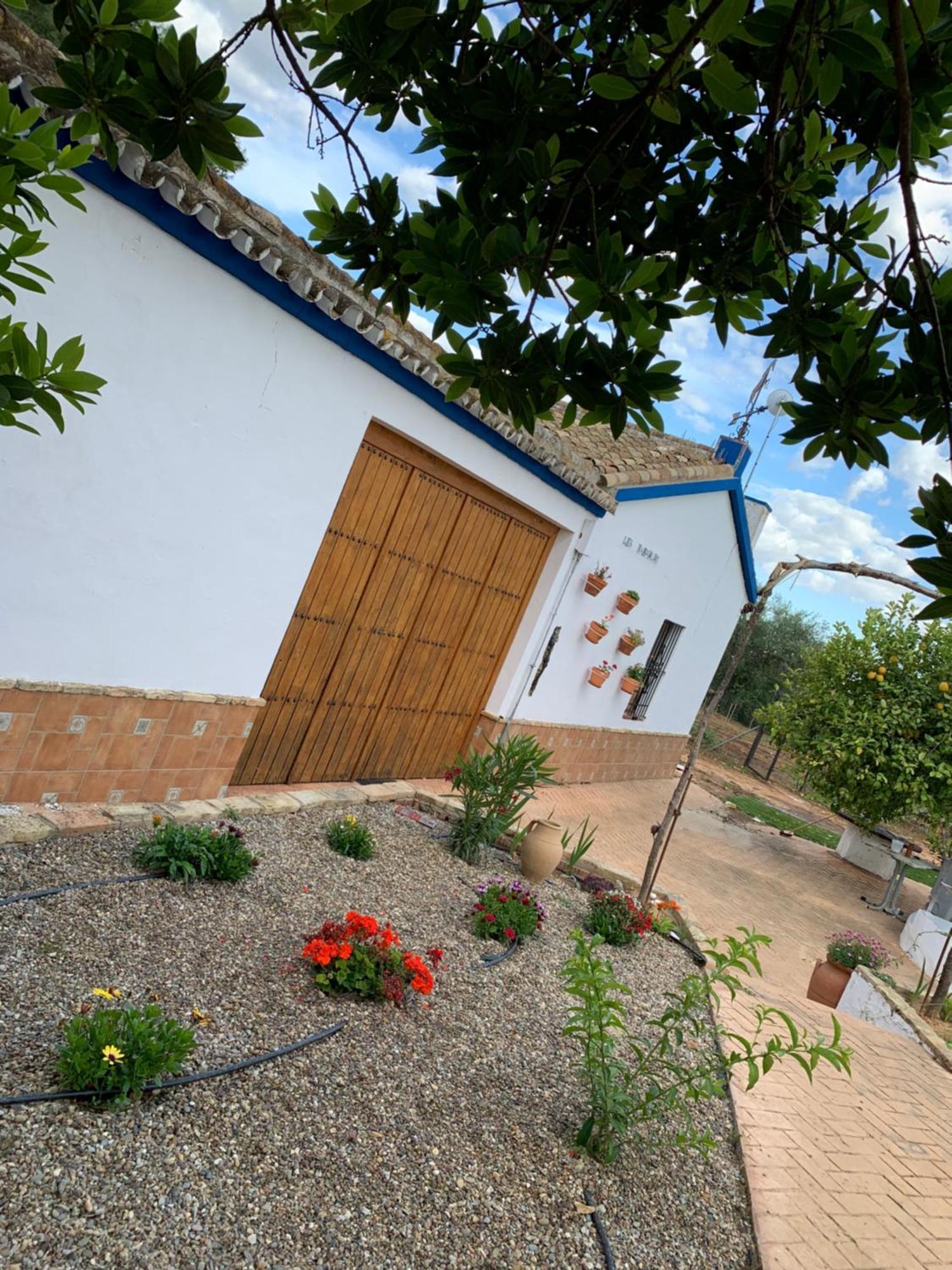 Casa Los Laureles Pilas Exterior photo