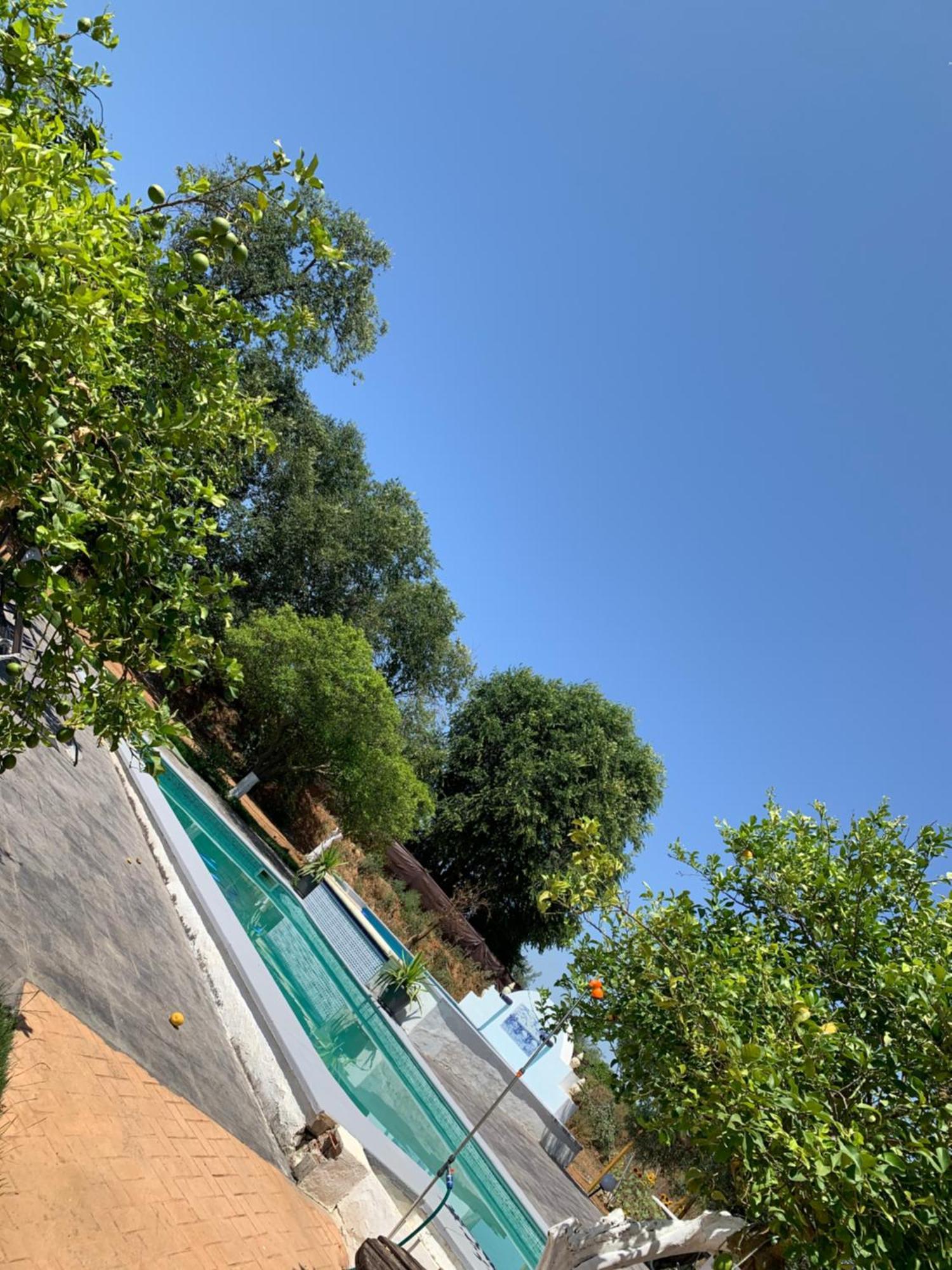Casa Los Laureles Pilas Exterior photo